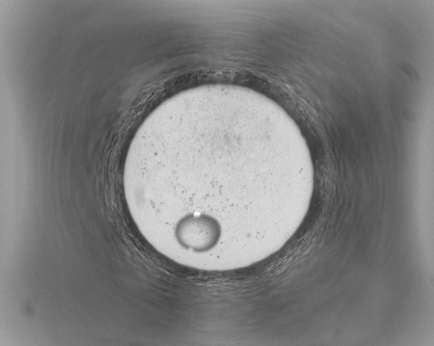 X0000115770769200912041431