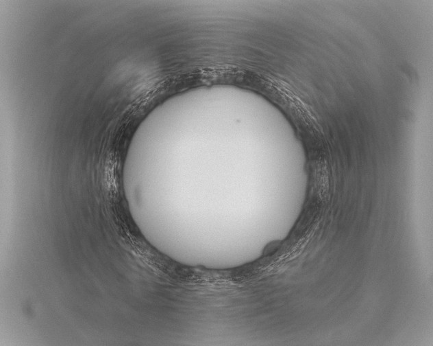 X0000115770770200912041431