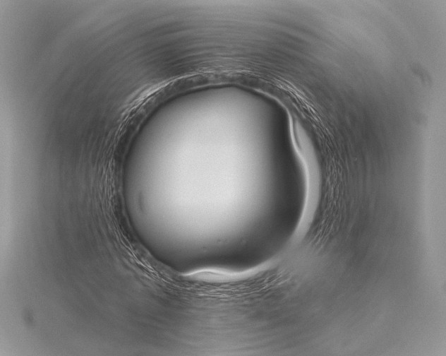 X0000115770773200912041431