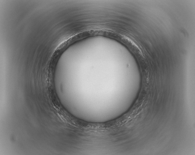 X0000115770775200912041431