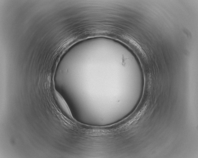 X0000115770777200912041431