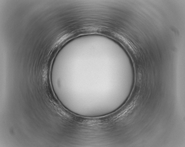 X0000115770778200912041431