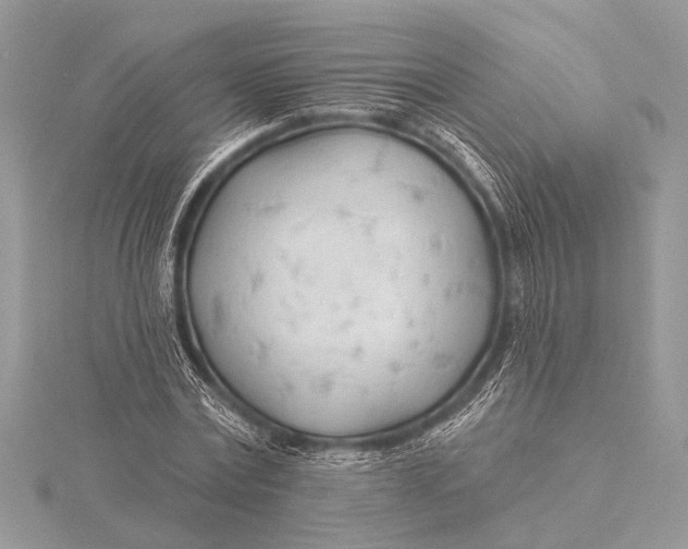 X0000115770779200912041431