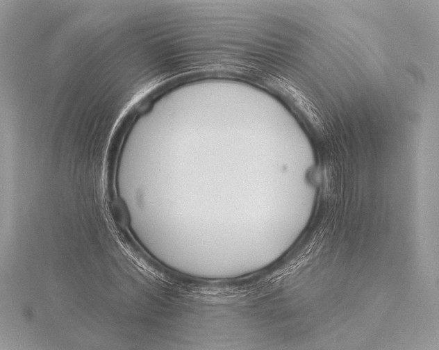 X0000115770780200912041431