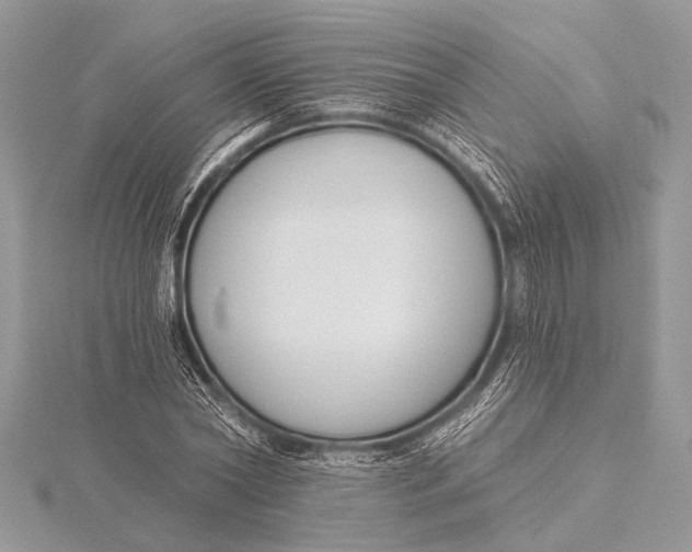 X0000115770782200912041431