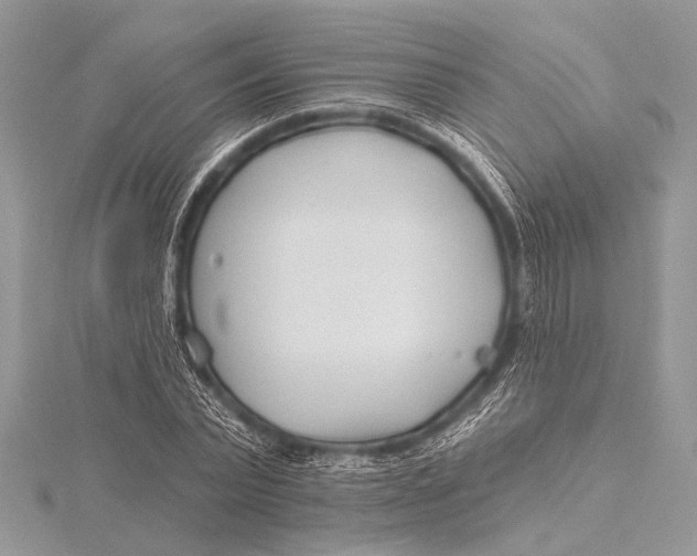 X0000115770783200912041431