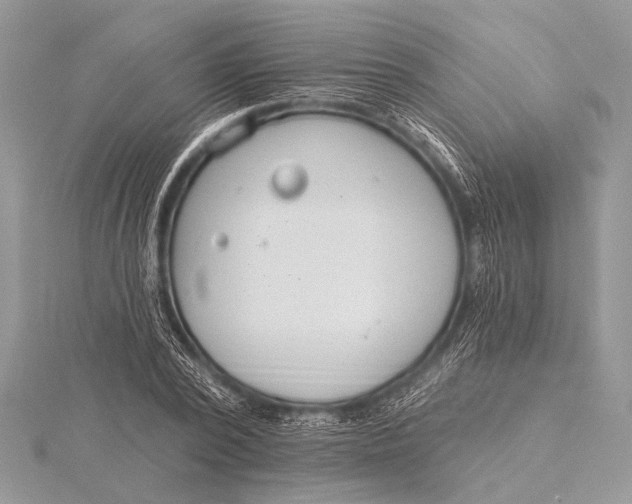 X0000115770784200912041431