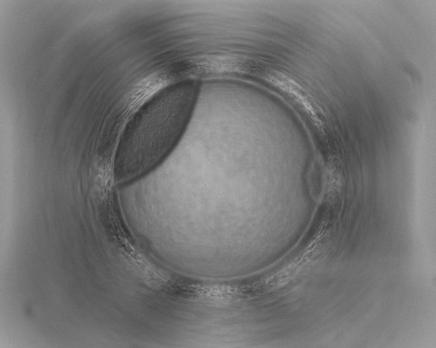 X0000115770785200912041431