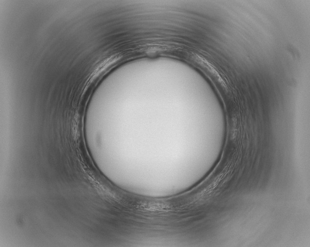 X0000115770786200912041431