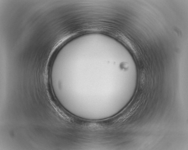 X0000115770787200912041430