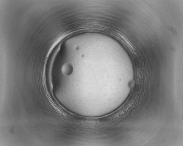 X0000115770788200912041430