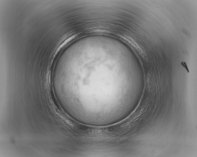 X0000115770790200912041430