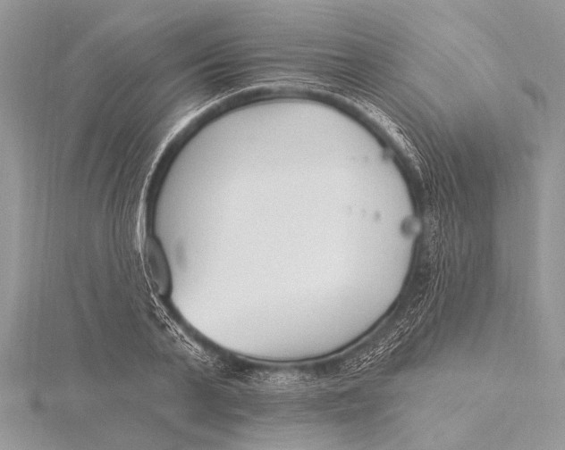 X0000115770791200912041430