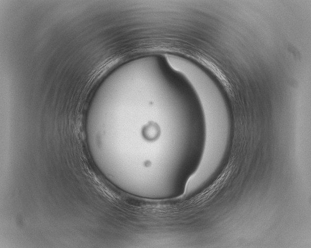 X0000115770793200912041430