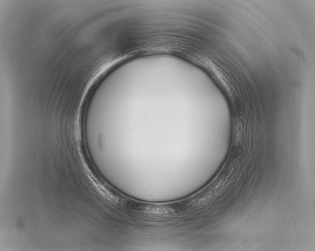 X0000115770795200912041430