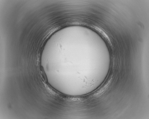 X0000115770801200912041430