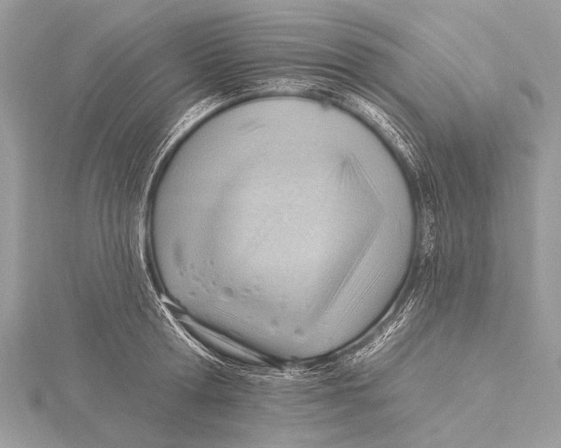 X0000115770802200912041430