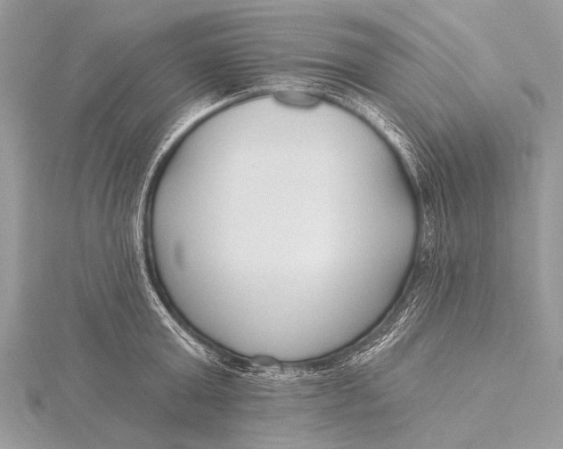 X0000115770803200912041430