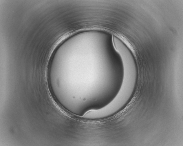 X0000115770805200912041430