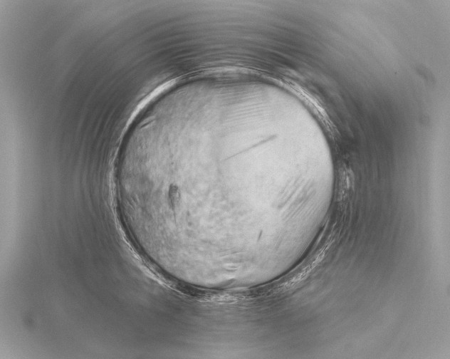 X0000115770806200912041430