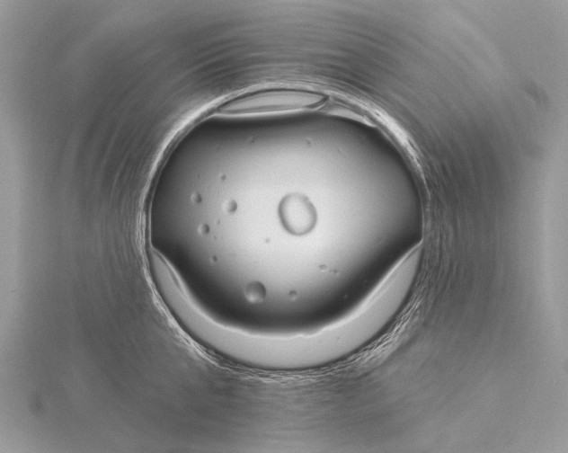 X0000115770807200912041430