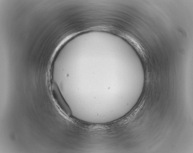 X0000115770808200912041430