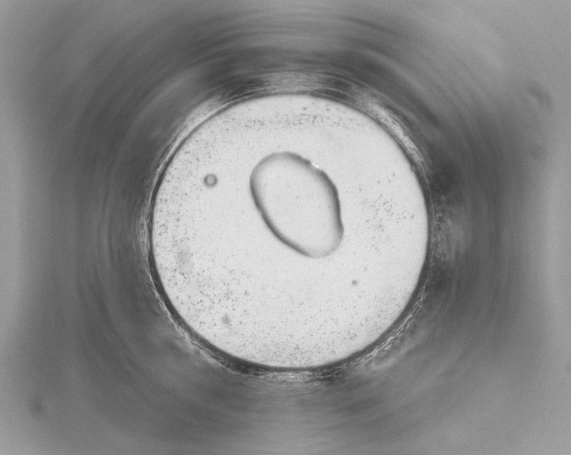 X0000115770810200912041430