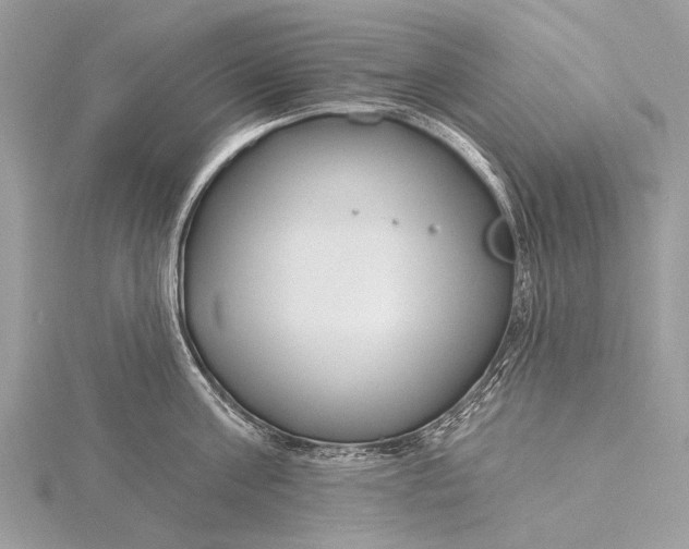 X0000115770811200912041430