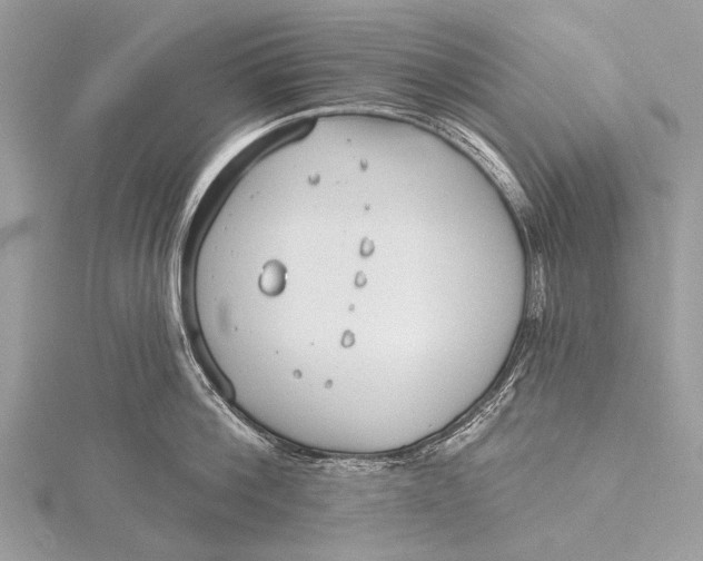 X0000115770812200912041430