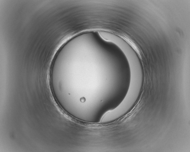 X0000115770813200912041430