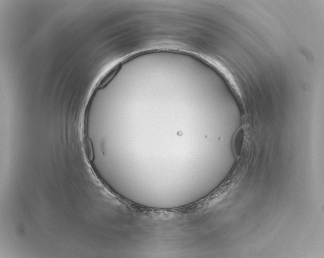 X0000115770815200912041430