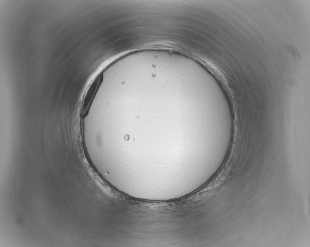 X0000115770816200912041430