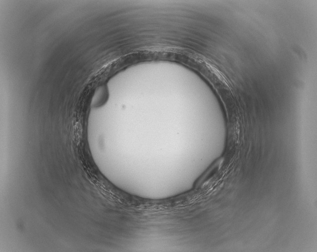 X0000115770821200912041430