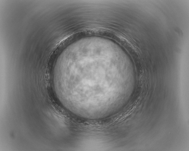 X0000115770822200912041430