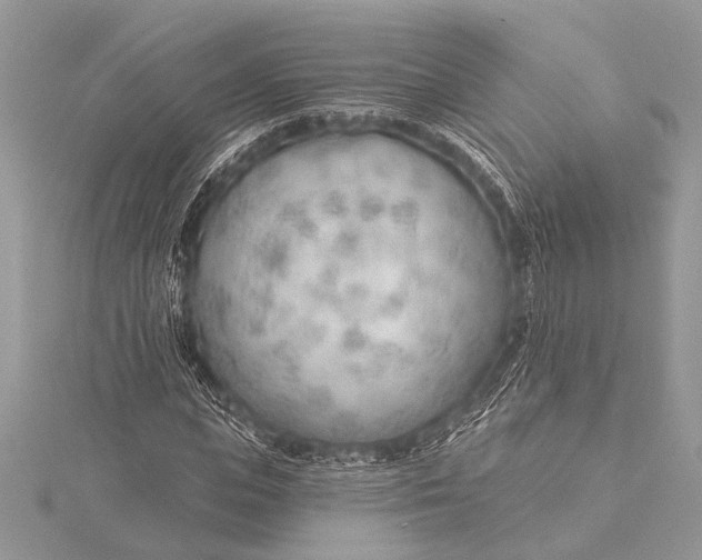 X0000115770823200912041430