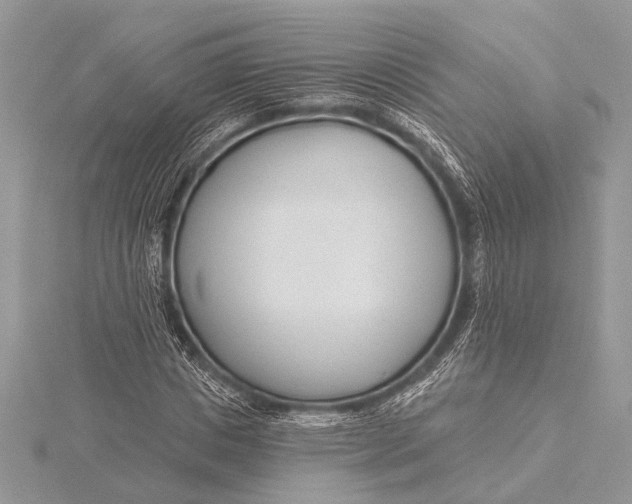 X0000115770825200912041430