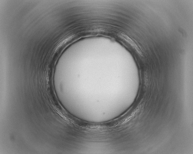 X0000115770826200912041430