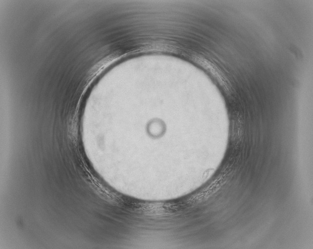 X0000115770828200912041430