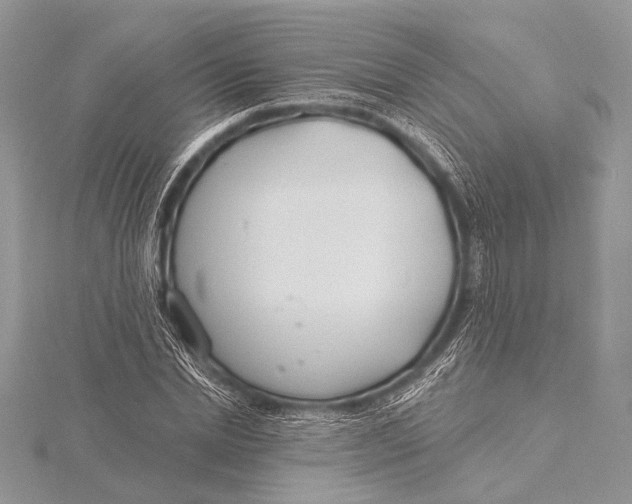 X0000115770830200912041430