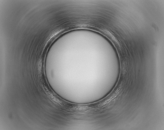 X0000115770831200912041430