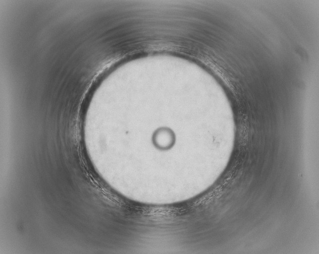 X0000115770832200912041430