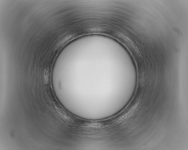 X0000115770833200912041430