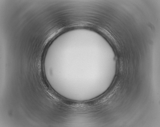 X0000115770834200912041430