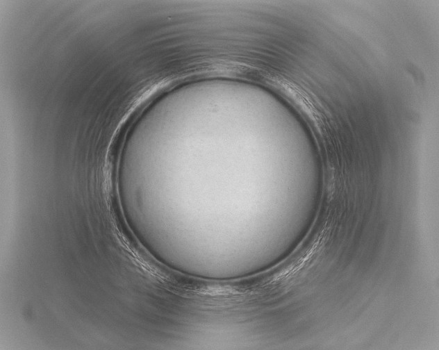 X0000115770835200912041430