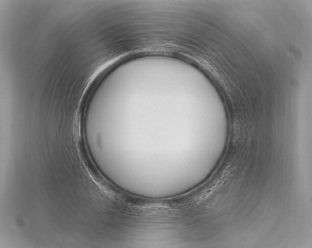 X0000115770838200912041430