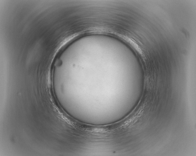 X0000115770839200912041430