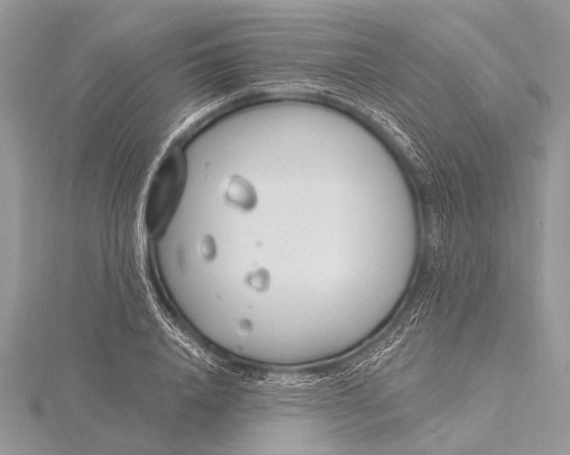 X0000115770840200912041430