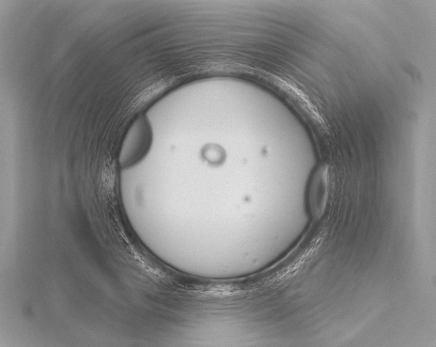 X0000115770841200912041430