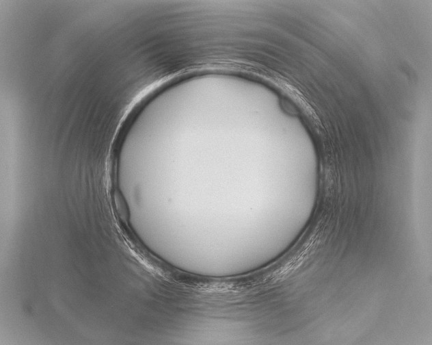 X0000115770846200912041430