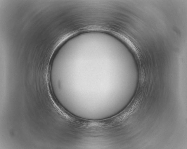 X0000115770847200912041430